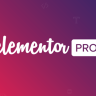 Elementor Pro